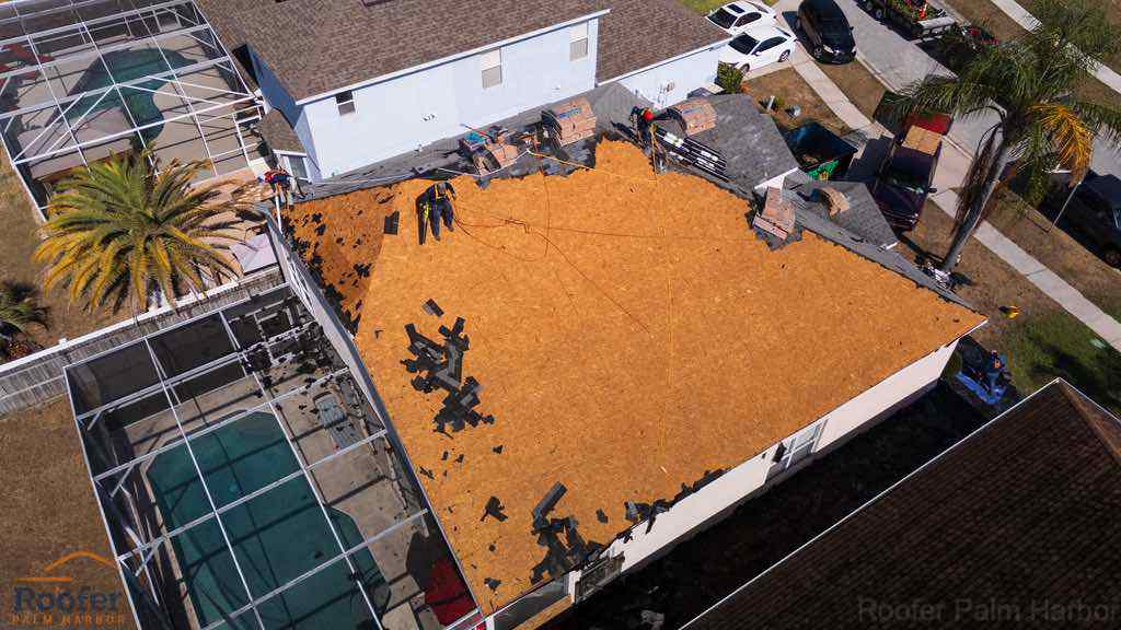 Roof Leak Palm Harbor Roof Leak Palm Harbor